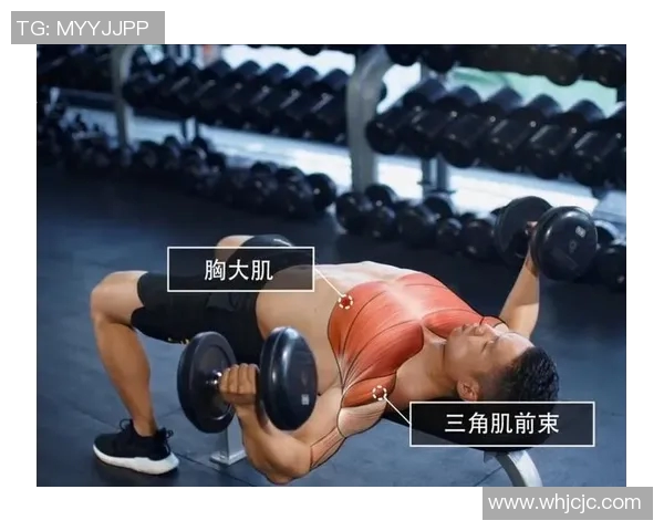 高效哑铃胸肌锻炼视频分享助你塑造完美胸部线条和增强力量 高效哑铃胸肌锻炼视频分享助你塑造完美胸部线条和增强力量