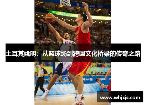 土耳其姚明：从篮球场到跨国文化桥梁的传奇之路