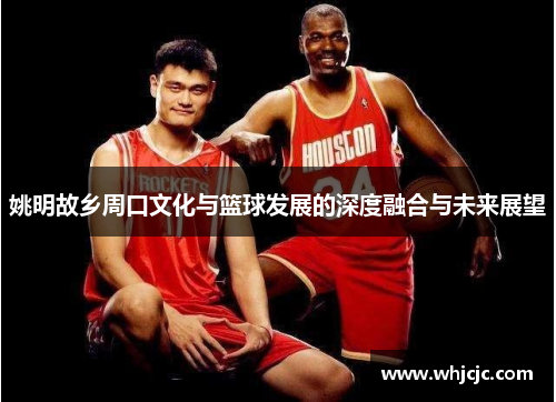 姚明故乡周口文化与篮球发展的深度融合与未来展望