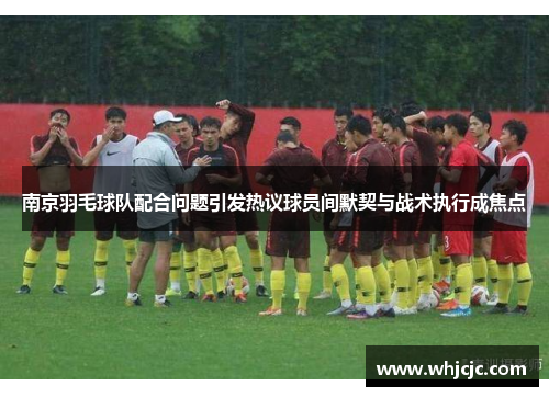 南京羽毛球队配合问题引发热议球员间默契与战术执行成焦点