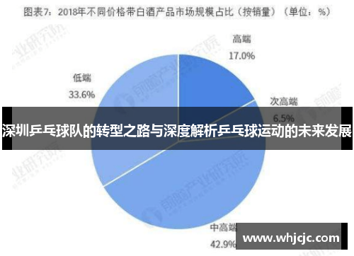 深圳乒乓球队的转型之路与深度解析乒乓球运动的未来发展