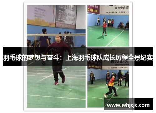 羽毛球的梦想与奋斗：上海羽毛球队成长历程全景纪实