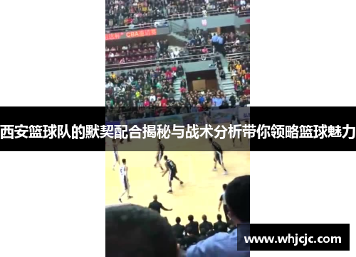 西安篮球队的默契配合揭秘与战术分析带你领略篮球魅力