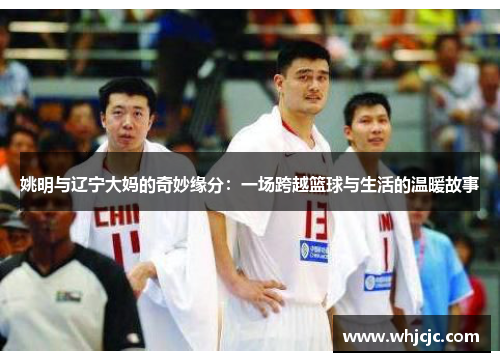 姚明与辽宁大妈的奇妙缘分：一场跨越篮球与生活的温暖故事