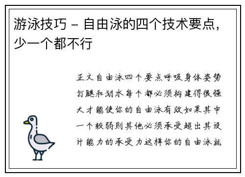 游泳技巧 - 自由泳的四个技术要点，少一个都不行